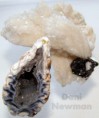/album/minerais/dsc02647-jpg/