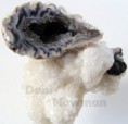 /album/minerais/dsc02673-jpg/